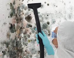 Mold Prevention & Removal